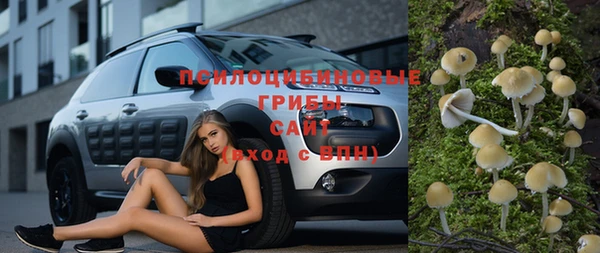 героин Покачи