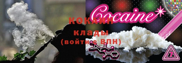 дживик Алзамай