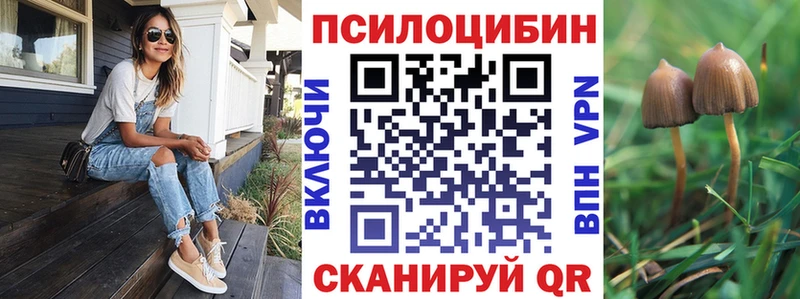 продажа наркотиков площадка клад Псилоцибиновые грибы Psilocybe Сенгилей