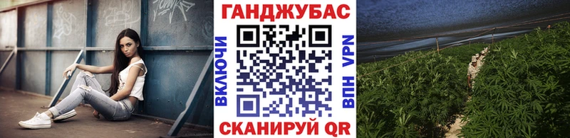 Марихуана план  купить наркоту  omg как зайти  Сенгилей 